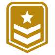 Golden military badge with star and stripes.